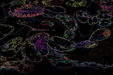 Bitkilerden oluşan yaratıcı floresan renk düzeni. Neon renklerle kaplanmış. Doğa kavramı.