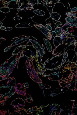 Bitkilerden oluşan yaratıcı floresan renk düzeni. Neon renklerle kaplanmış. Doğa kavramı.