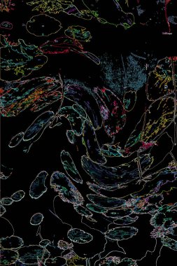 Bitkilerden oluşan yaratıcı floresan renk düzeni. Neon renklerle kaplanmış. Doğa kavramı.