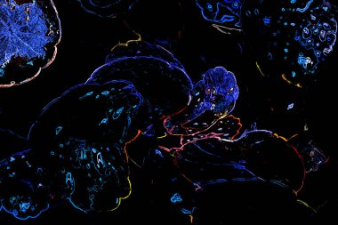 Bitkilerden oluşan yaratıcı floresan renk düzeni. Neon renklerle kaplanmış. Doğa kavramı.