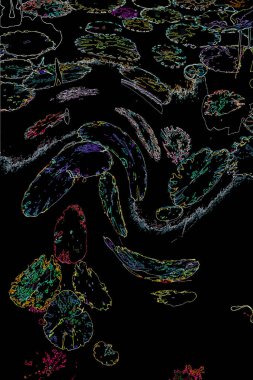 Bitkilerden oluşan yaratıcı floresan renk düzeni. Neon renklerle kaplanmış. Doğa kavramı.