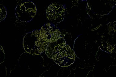 Bitkilerden oluşan yaratıcı floresan renk düzeni. Neon renklerle kaplanmış. Doğa kavramı.