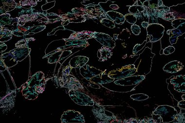 Bitkilerden oluşan yaratıcı floresan renk düzeni. Neon renklerle kaplanmış. Doğa kavramı.