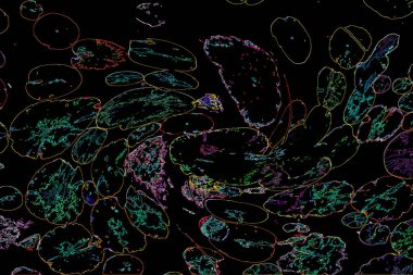 Bitkilerden oluşan yaratıcı floresan renk düzeni. Neon renklerle kaplanmış. Doğa kavramı.