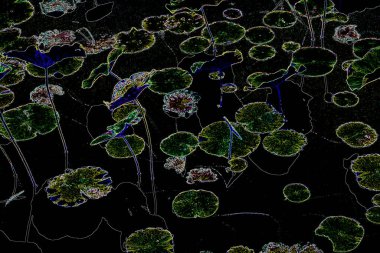 Bitkilerden oluşan yaratıcı floresan renk düzeni. Neon renklerle kaplanmış. Doğa kavramı.