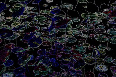 Bitkilerden oluşan yaratıcı floresan renk düzeni. Neon renklerle kaplanmış. Doğa kavramı.