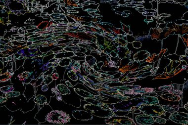 Bitkilerden oluşan yaratıcı floresan renk düzeni. Neon renklerle kaplanmış. Doğa kavramı.