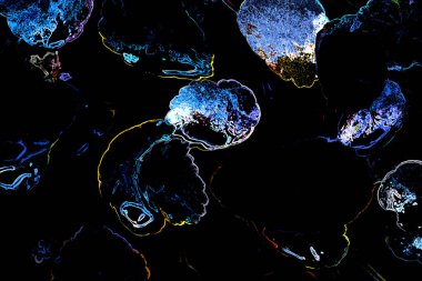 Bitkilerden oluşan yaratıcı floresan renk düzeni. Neon renklerle kaplanmış. Doğa kavramı.