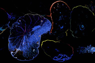 Bitkilerden oluşan yaratıcı floresan renk düzeni. Neon renklerle kaplanmış. Doğa kavramı.