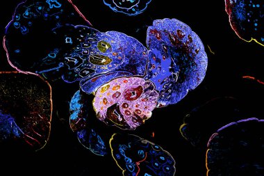 Bitkilerden oluşan yaratıcı floresan renk düzeni. Neon renklerle kaplanmış. Doğa kavramı.