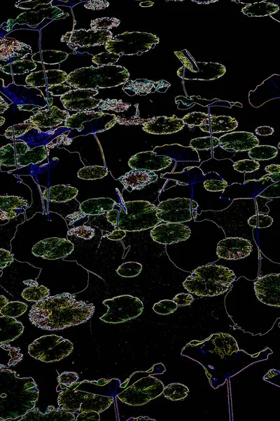 Kreativ Fluorescerande Färg Layout Gjord Växter Kaklat Neonfärger Naturbegrepp — Stockfoto