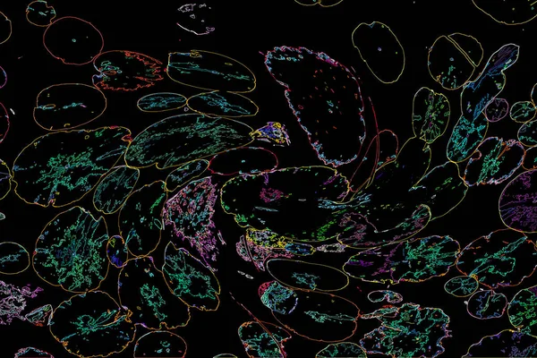 Креативная Флуоресцентная Цветовая Композиция Растений Плитка Неоновых Цветов Природа Концепция — стоковое фото