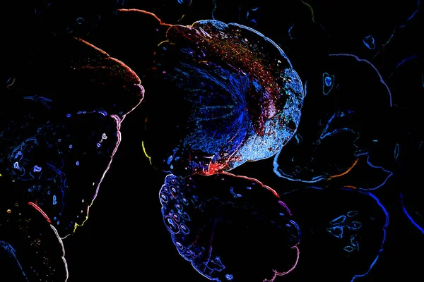 Kreatives Fluoreszierendes Farblayout Aus Pflanzen Gefliesen Neonfarben Naturkonzept — Stockfoto