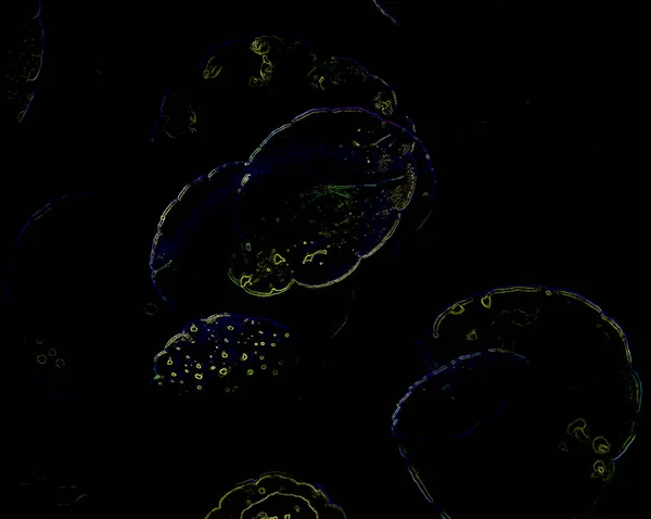Kreatív Fluoreszcens Színelrendezés Növényekből Neon Színekben Csempézve Természet Fogalma — Stock Fotó