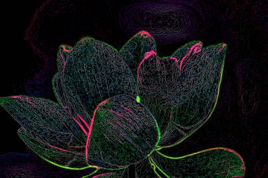 Nilüfer yaprakları ve nilüfer yapraklarıyla sunulan zarif desenli tasarım.