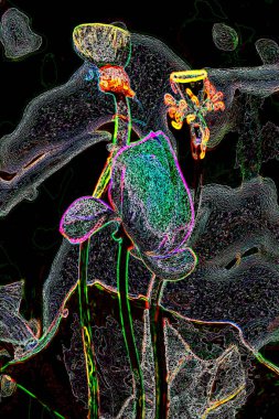 Nilüfer yaprakları ve nilüfer yapraklarıyla sunulan zarif desenli tasarım.