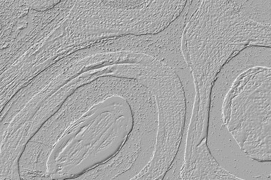 Yaratıcı model. Taş deseni. Seramik doku. Duvar kağıdı tasarımı. Vektör deseni. Satırları tekrarla.