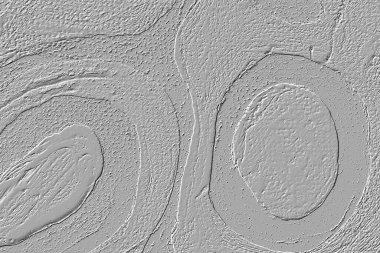 Yaratıcı model. Taş deseni. Seramik doku. Duvar kağıdı tasarımı. Vektör deseni. Satırları tekrarla.