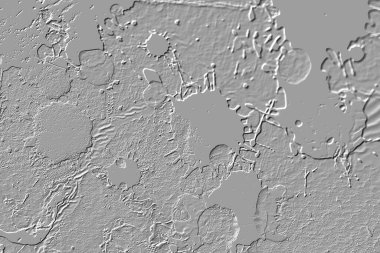 Yaratıcı model. Taş deseni. Seramik doku. Duvar kağıdı tasarımı. Vektör deseni. Satırları tekrarla.