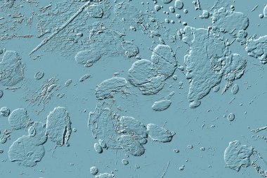 Yaratıcı model. Taş deseni. Seramik doku. Duvar kağıdı tasarımı. Vektör deseni. Satırları tekrarla.