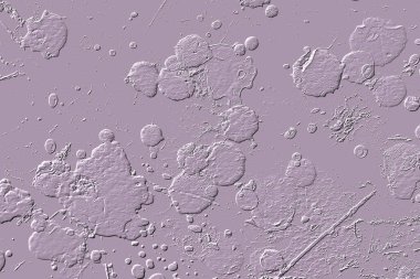 Yaratıcı model. Taş deseni. Seramik doku. Duvar kağıdı tasarımı. Vektör deseni. Satırları tekrarla.