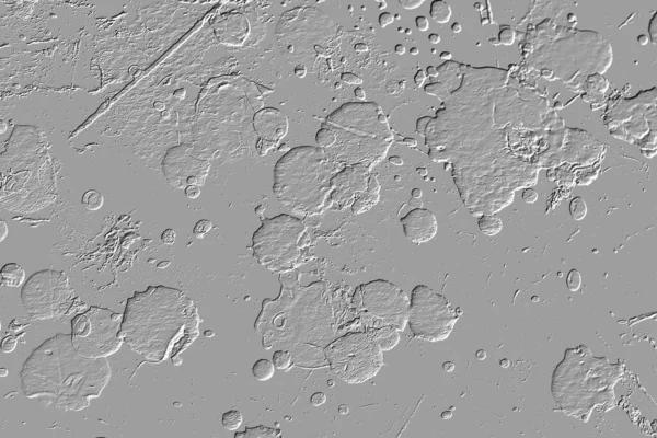 Yaratıcı model. Taş deseni. Seramik doku. Duvar kağıdı tasarımı. Vektör deseni. Satırları tekrarla.