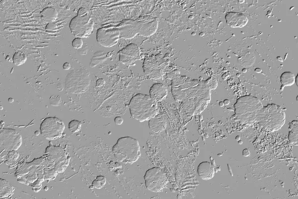 Yaratıcı model. Taş deseni. Seramik doku. Duvar kağıdı tasarımı. Vektör deseni. Satırları tekrarla.