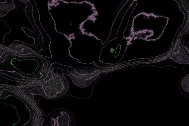 Modern soyut resim. Renkli akıcı sanat resimleri. Geometrik arkaplan.