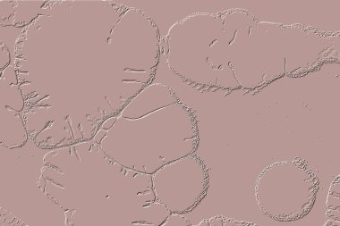 Yaratıcı model. Taş deseni. Seramik doku. Duvar kağıdı tasarımı. Vektör deseni. Satırları tekrarla.