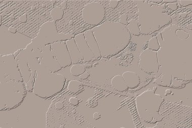 Yaratıcı model. Taş deseni. Seramik doku. Duvar kağıdı tasarımı. Vektör deseni. Satırları tekrarla.