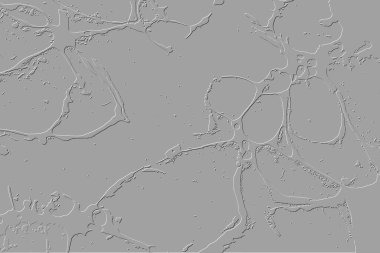 Yaratıcı model. Taş deseni. Seramik doku. Duvar kağıdı tasarımı. Vektör deseni. Satırları tekrarla.