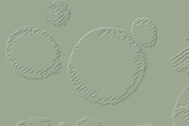 Yaratıcı model. Taş deseni. Seramik doku. Duvar kağıdı tasarımı. Vektör deseni. Satırları tekrarla.