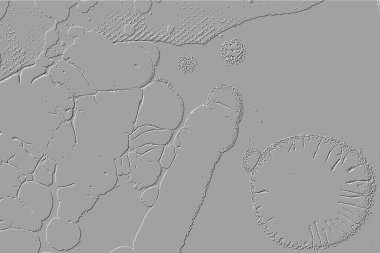 Yaratıcı model. Taş deseni. Seramik doku. Duvar kağıdı tasarımı. Vektör deseni. Satırları tekrarla.