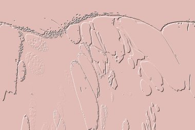 Yaratıcı model. Taş deseni. Seramik doku. Duvar kağıdı tasarımı. Vektör deseni. Satırları tekrarla.