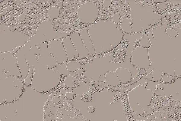 Yaratıcı model. Taş deseni. Seramik doku. Duvar kağıdı tasarımı. Vektör deseni. Satırları tekrarla.