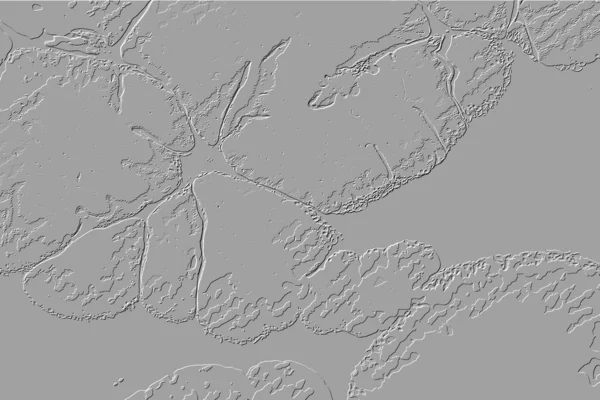 Yaratıcı model. Taş deseni. Seramik doku. Duvar kağıdı tasarımı. Vektör deseni. Satırları tekrarla.