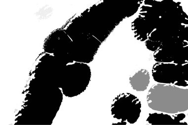 Renkli basit arka plan, dalgalı etkisi. Etkisi noktalarla. Ritmik ses parçacıklar. Tahıl doku. Renkli darbeleri ile duvar kağıdı. Duvar iç tasarım, lockscreen, paket için desen