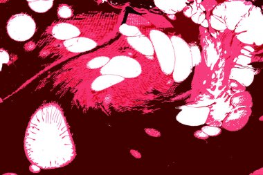 Renkli basit arka plan, dalgalı etkisi. Etkisi noktalarla. Ritmik ses parçacıklar. Tahıl doku. Renkli darbeleri ile duvar kağıdı. Duvar iç tasarım, lockscreen, paket için desen