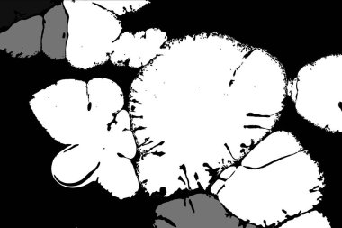 Hayattaki yaratıcı çizimler. Tasarımcılar için renkli ve güzel arkaplan modelleri.