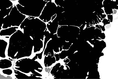 Hayattaki yaratıcı çizimler. Tasarımcılar için renkli ve güzel arkaplan modelleri.