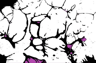 Hayattaki yaratıcı çizimler. Tasarımcılar için renkli ve güzel arkaplan modelleri.