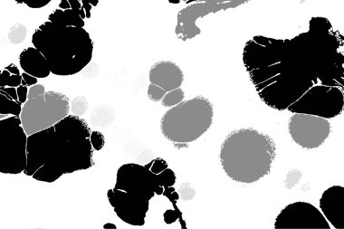 Hayattaki yaratıcı çizimler. Tasarımcılar için renkli ve güzel arkaplan modelleri.