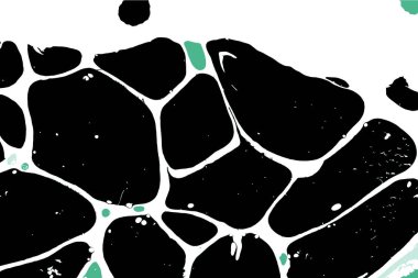 Hayattaki yaratıcı çizimler. Tasarımcılar için renkli ve güzel arkaplan modelleri.