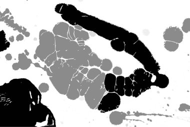 Hayattaki yaratıcı çizimler. Tasarımcılar için renkli ve güzel arkaplan modelleri.