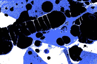 Hayattaki yaratıcı çizimler. Tasarımcılar için renkli ve güzel arkaplan modelleri.