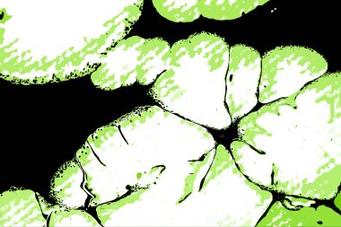 Hayattaki yaratıcı çizimler. Tasarımcılar için renkli ve güzel arkaplan modelleri.