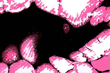 Hayattaki yaratıcı çizimler. Tasarımcılar için renkli ve güzel arkaplan modelleri.