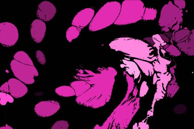 Hayattaki yaratıcı çizimler. Tasarımcılar için renkli ve güzel arkaplan modelleri.