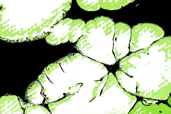 Hayattaki yaratıcı çizimler. Tasarımcılar için renkli ve güzel arkaplan modelleri.