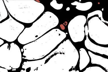 Hayattaki yaratıcı çizimler. Tasarımcılar için renkli ve güzel arkaplan modelleri.